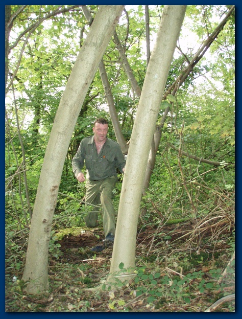 450x599 pixels (198K)